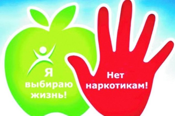 Kraken ссылка официальная