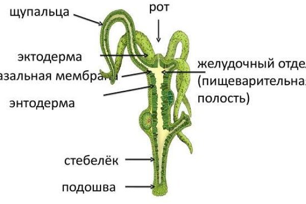 Ссылки тор браузер